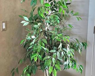 Ceramic Pot w/ Faux Plant