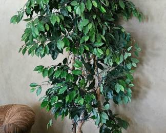 Faux Fig Tree w/ Ceramic Pot