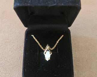 Pendant on a Gold Tone Necklace