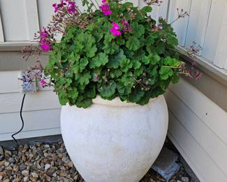 Large Flowerpot - Hanging Baskets Sold Separately 