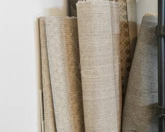 Indoor/Outdoor Area Rugs