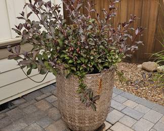 Ceramic Flowerpot w/ Shrub - Very Heavy