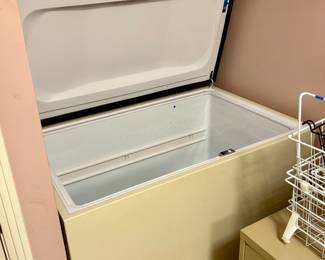 Fantastic deep freezer - works great, clean & ready to go! 