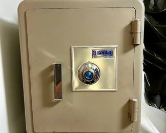 Sentry personal safe 