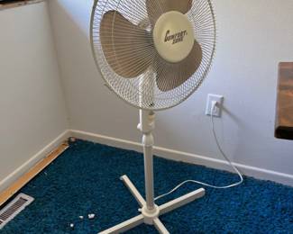 Oscillating Fan