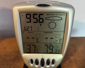 Wireless Forecast Projection Station