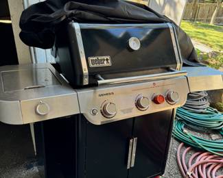 Weber Grill