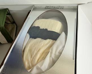 Preserved Wedding Dress