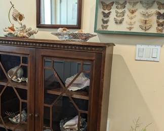 There is a lot to see in this photograph!  Much of the insect collection has been donated. There are three remaining  exquisitely detailed butterfly hermetically sealed displays that were collected in the 1940s. 
Turn of the century mahogany egg and dart filigree cabinet. A wonderful collection of seashells. A beautiful mahogany Early 20th century Mirror.