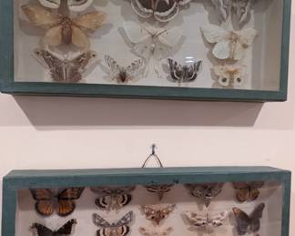 Butterfly Collection One and two of three.