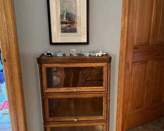 Small law library ( showcase/ display case 