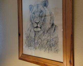 Tiger pencil drawing