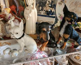 Dogs, dogs and more dogs...plus cats too! 