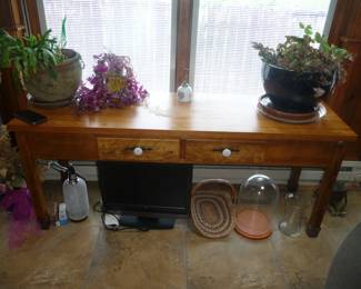 low table / some of the live house plants / small TV / and more 