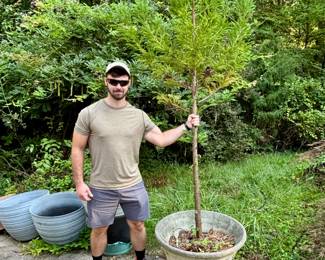 One of several beautiful pieces of concrete yard art found on this estate.  This large planter has mature tree already planted in it.