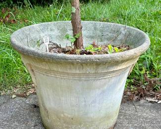 One of several beautiful pieces of concrete yard art found on this estate.  This large planter has mature tree already planted in it.
