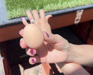 Egg hatchlings as well 