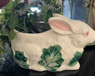 the haldon group Bunny