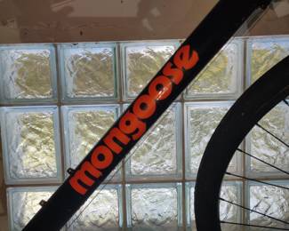 Mongoose bike