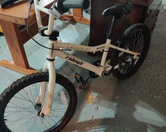 Raleigh boys bike