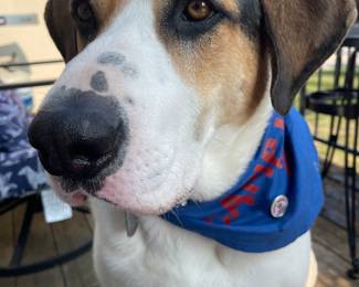 Happy Camper.
Modeling only