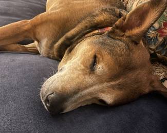 Resting on the job, off site.