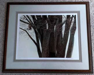 Robert Bateman Vintage Print 