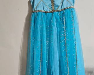 Jasmine Inspired Dress 