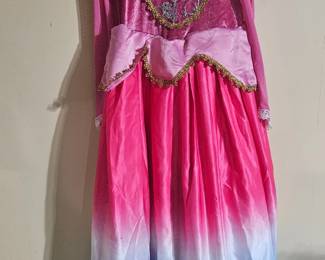 Sleeping Beauty Inspired Dress 