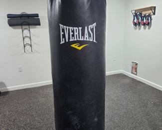 Everlast Power Core Punching Bag 