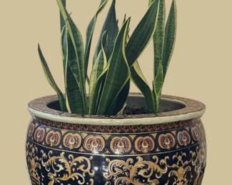 Fish Bowl with Plant