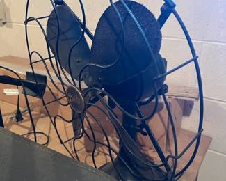 Fan