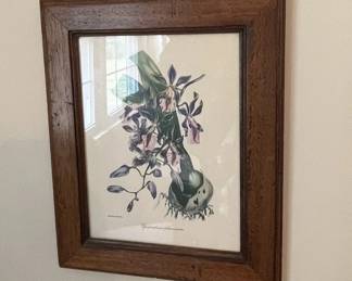 Vintage framed FlowPrint lithograph S. Holden purple flower.