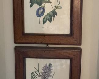 Botanical prints.