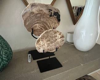 Petrified Wood on Stands