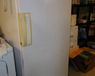 Freezer, yes it works.
