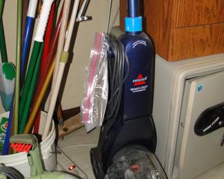 Bissel steam cleaner