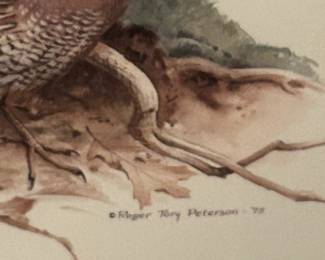 #14 Tory Peterson Set of 4 Framed Audubon Birds of America	 $100.00 
