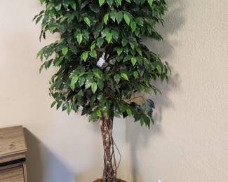 Faux Ficus with lights