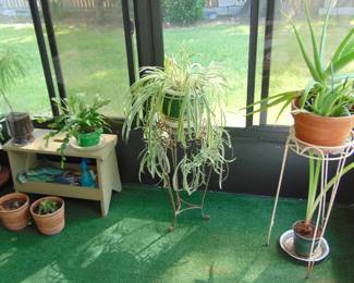 Planst, all for sale folks