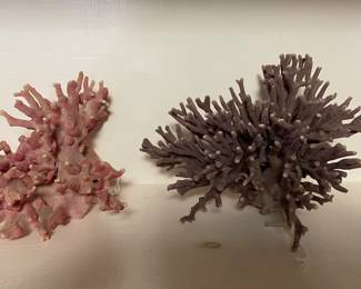 Rare Coral 