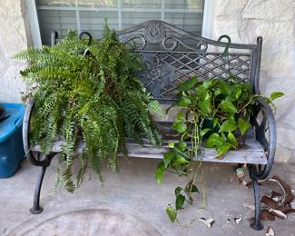 The State of Texas cast iron and wood benches. Plants!