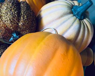 Pumpkins for days.