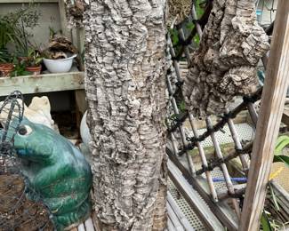 Front view of a hollow log decor