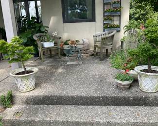 Pair of potted Japanese Maples placed on a back patio area. Plastic pots