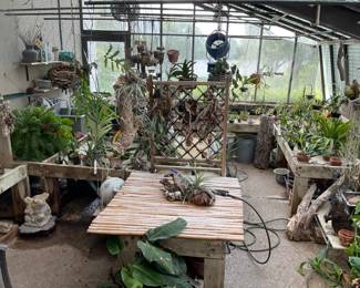 Quick glance into the home’s greenhouse section. All must go!
