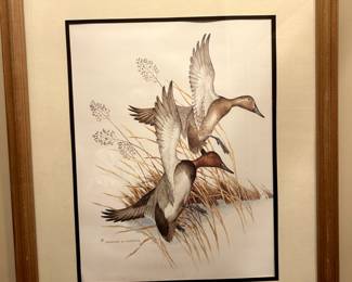 duck print by Charles Murphy