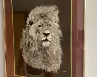 Gold framed large lion picture, 24" x 30",  was $30, NOW $20
