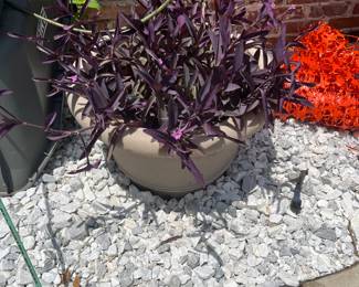 $30 Concrete round planter 22X 19T