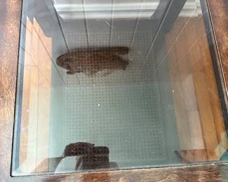 $70 Asian style glass top side table cane base